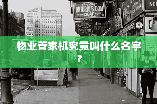 物业管家机究竟叫什么名字？