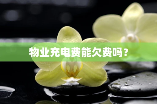 物业充电费能欠费吗？