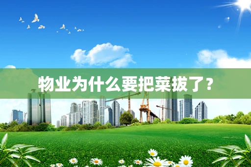 物业为什么要把菜拔了？