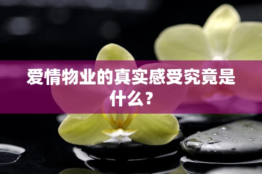 爱情物业的真实感受究竟是什么？