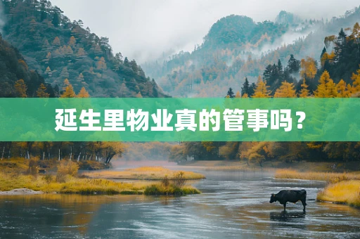 延生里物业真的管事吗？