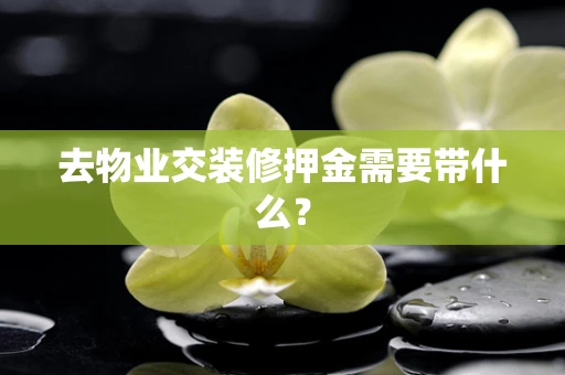 去物业交装修押金需要带什么？