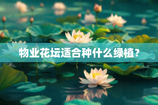 物业花坛适合种什么绿植？