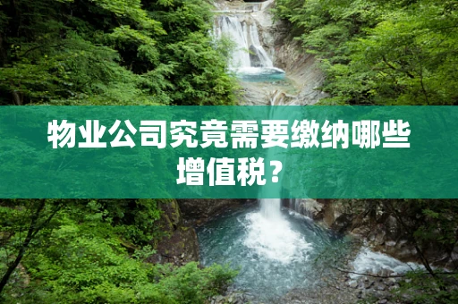 物业公司究竟需要缴纳哪些增值税？