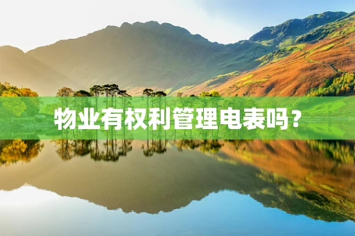 物业有权利管理电表吗？