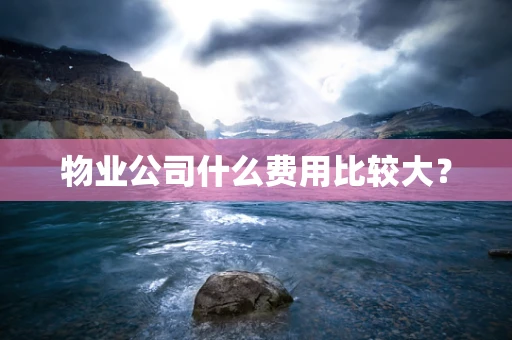 物业公司什么费用比较大？