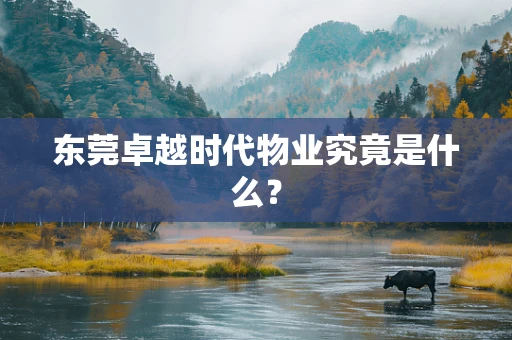 东莞卓越时代物业究竟是什么？