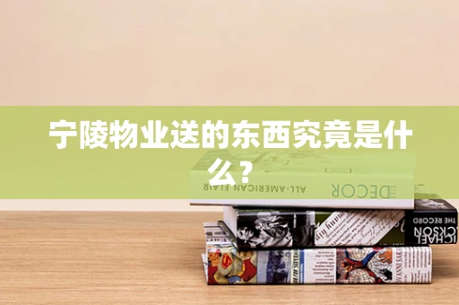 宁陵物业送的东西究竟是什么？