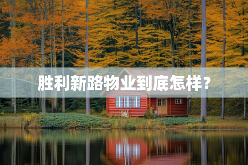 胜利新路物业到底怎样？