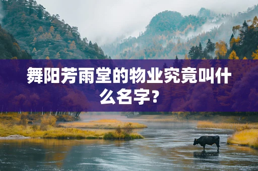 舞阳芳雨堂的物业究竟叫什么名字？