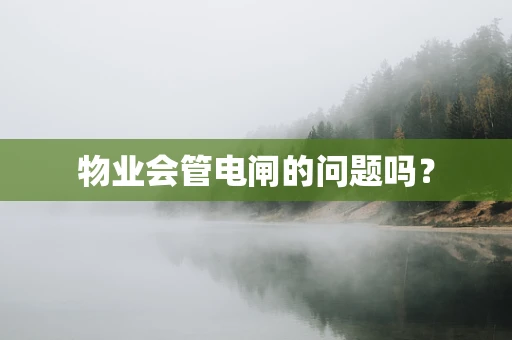 物业会管电闸的问题吗？