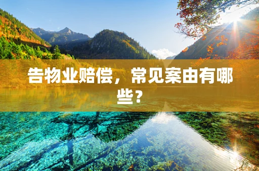 告物业赔偿，常见案由有哪些？