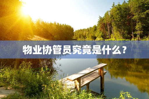 物业协管员究竟是什么？