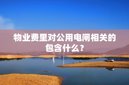 物业费里对公用电闸相关的包含什么？