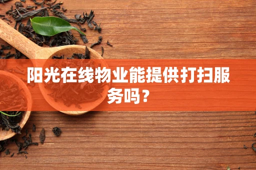 阳光在线物业能提供打扫服务吗？
