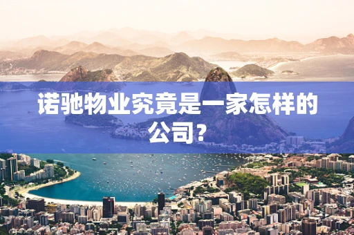 诺驰物业究竟是一家怎样的公司？