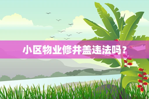 小区物业修井盖违法吗？