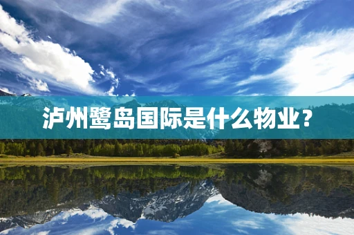 泸州鹭岛国际是什么物业？