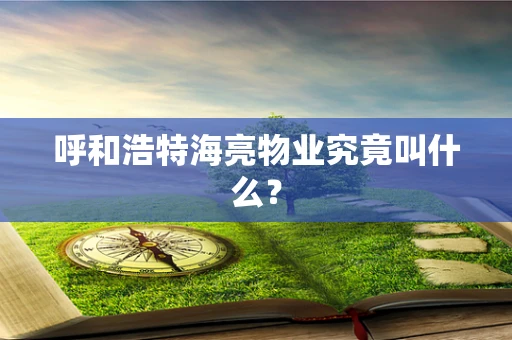 呼和浩特海亮物业究竟叫什么？