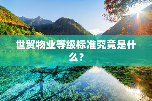世贸物业等级标准究竟是什么？