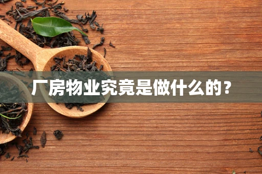 厂房物业究竟是做什么的？