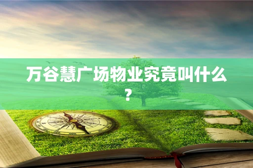 万谷慧广场物业究竟叫什么？
