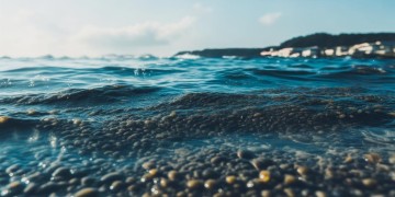 海垦物业到底有什么用？