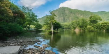 芷江融福苑究竟是什么物业?
