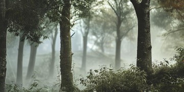 澳海小区究竟是什么物业？