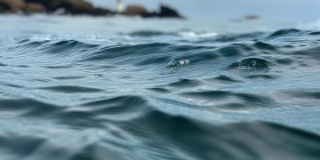 海华物业公司究竟在什么地方？